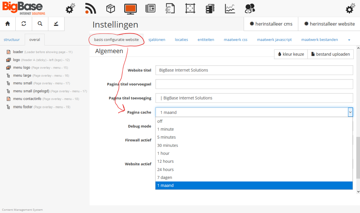 The page cache setting in the website configuration